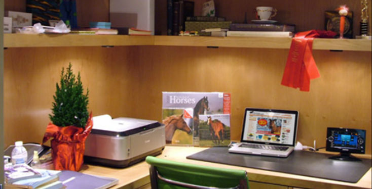 2010 Best Integrated Home Bronze Award